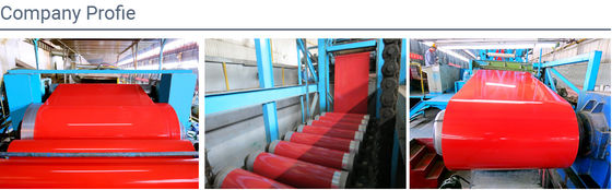 Coil d'acier prépeint sur mesure 0,12 mm-6,0 mm Plaque d'acier galvanisé prépeint