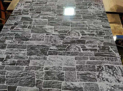 ISO 9001 Fabricants de bobines d'acier prépeintes pour la construction et la décoration